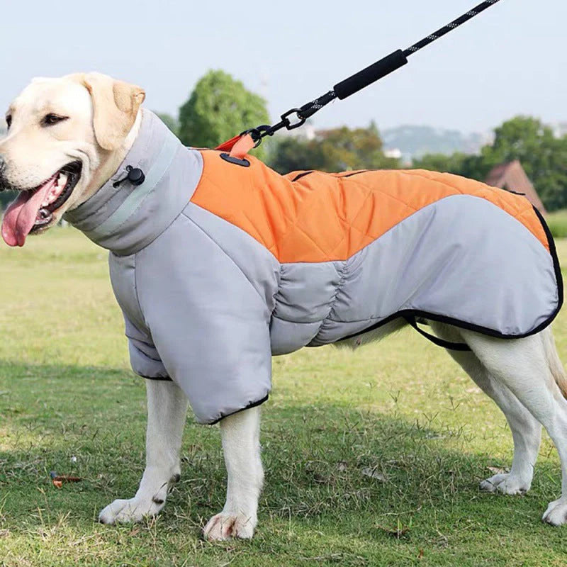Dog Coat – Waterproof Fabric – Medium 20 L × 15 W – All-Weather Protection for Outdoor Adventures 0