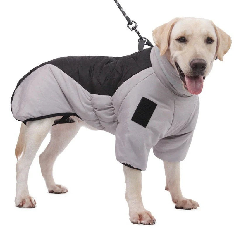 Dog Coat – Waterproof Fabric – Medium 20 L × 15 W – All-Weather Protection for Outdoor Adventures 1