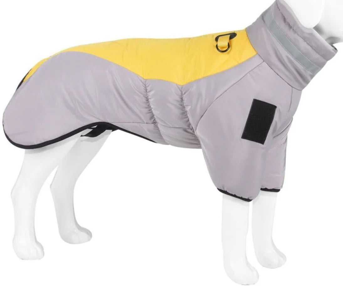 Dog Coat – Waterproof Fabric – Medium 20 L × 15 W – All-Weather Protection for Outdoor Adventures 2