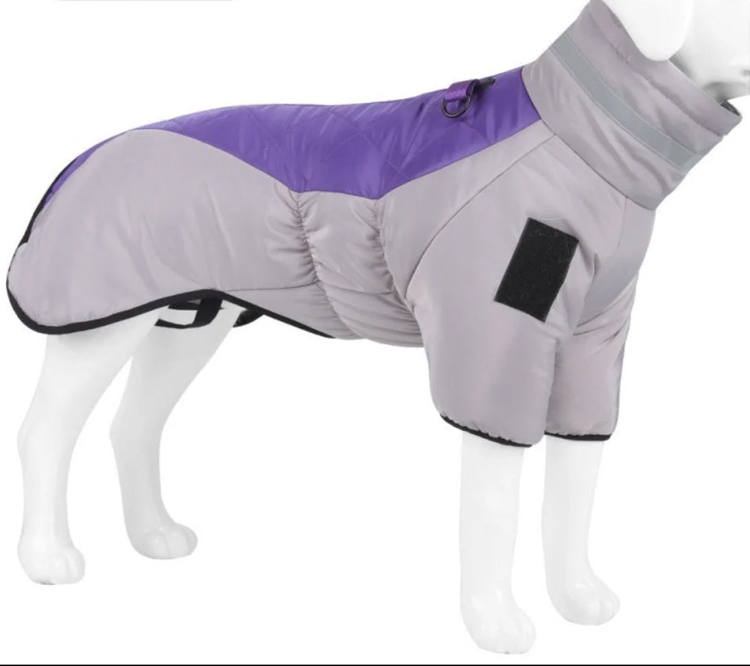 Dog Coat – Waterproof Fabric – Medium 20 L × 15 W – All-Weather Protection for Outdoor Adventures 3