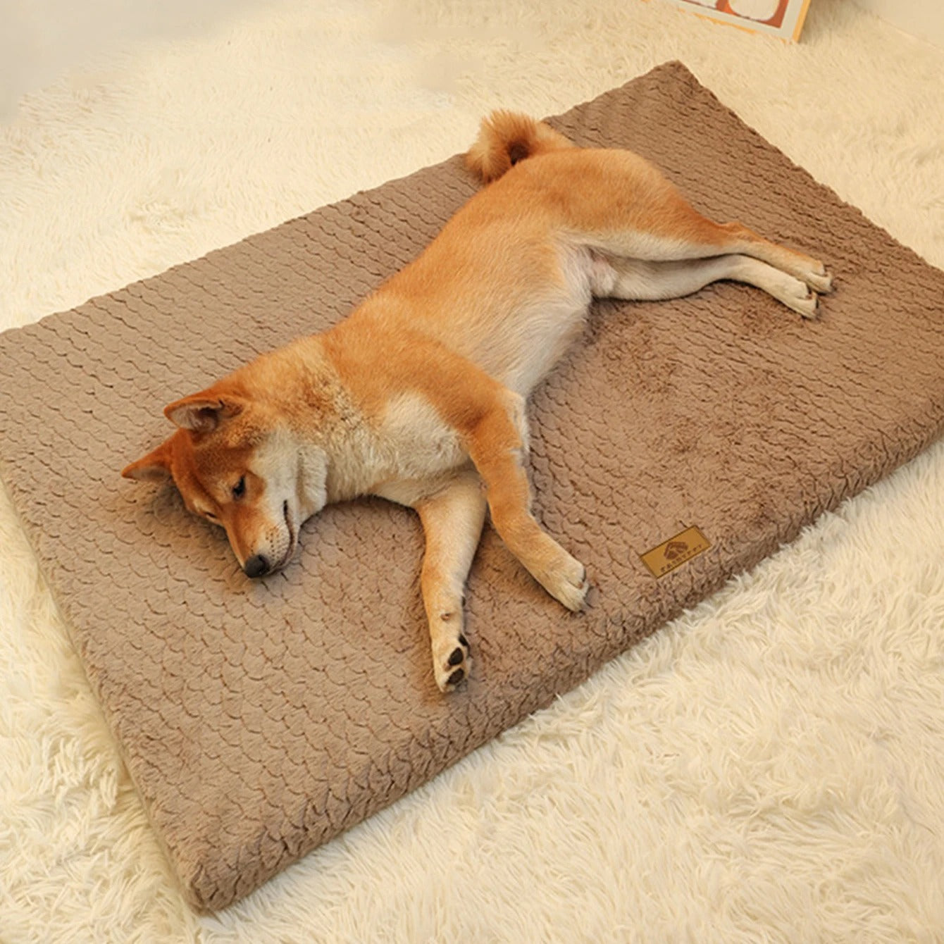 Dog Mat – Ultra-Soft Fabric – 30 × 40 Inches – Cushioned Comfort for All Seasons 3