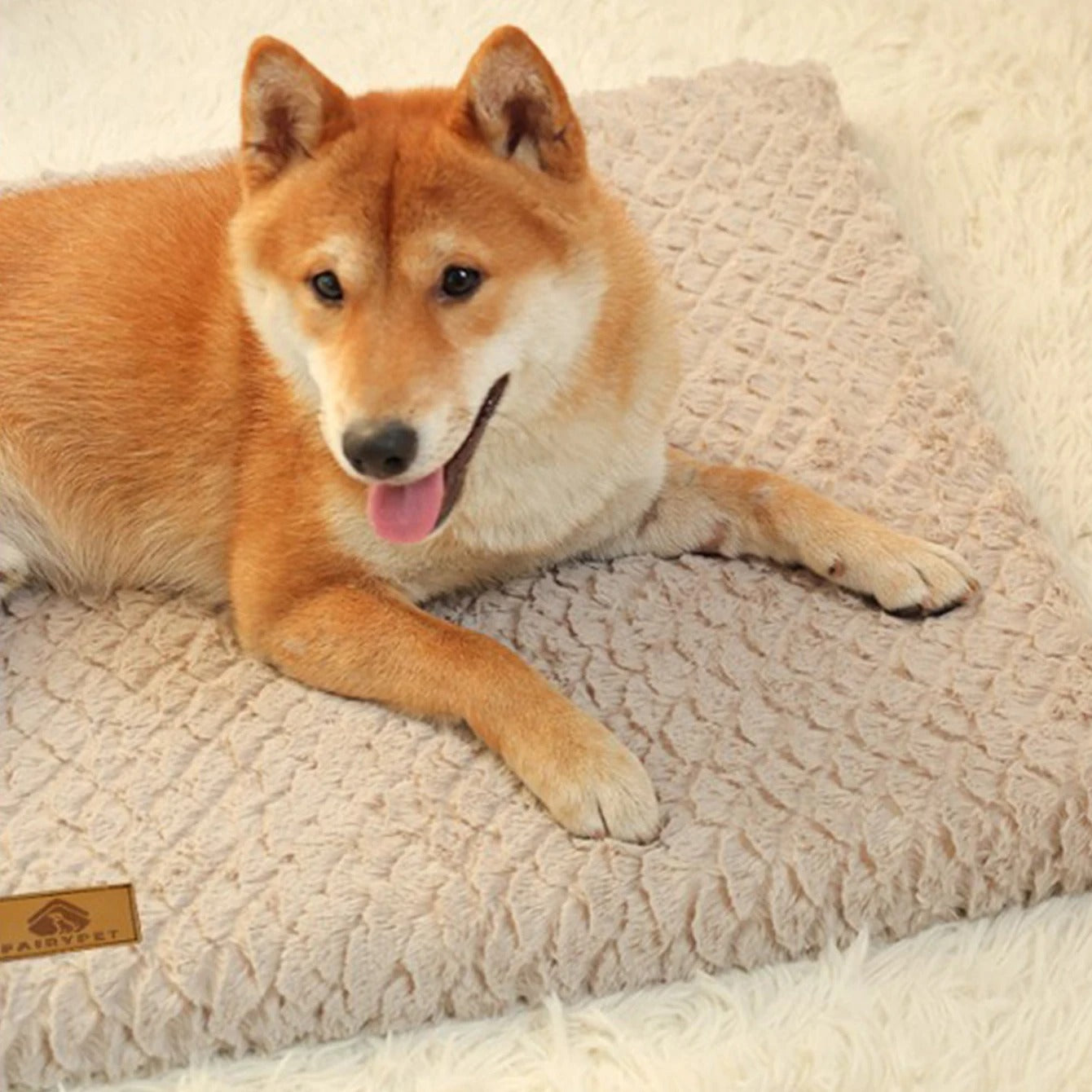 Dog Mat – Ultra-Soft Fabric – 30 × 40 Inches – Cushioned Comfort for All Seasons 5